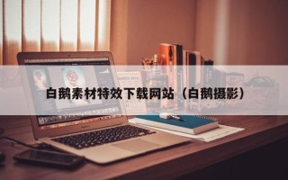 枝江白鹅素材特效下载网站（白鹅摄影）